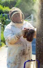 Chris Morris managing the bees