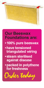 Beeswax Foundation