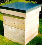National Economy Hive