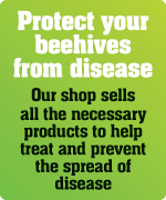 Protect your beehives from disease