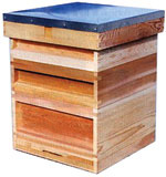 British Standard Modified National Hive